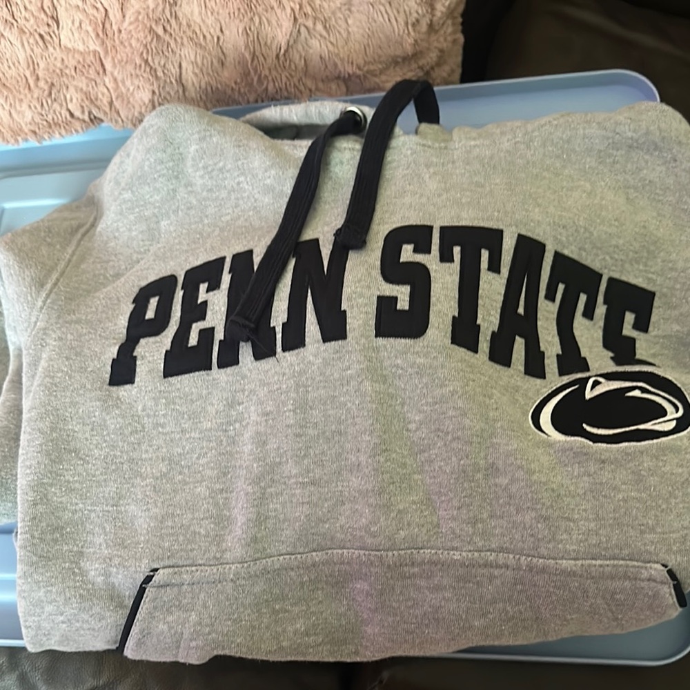 Gray Penn State Hoodie